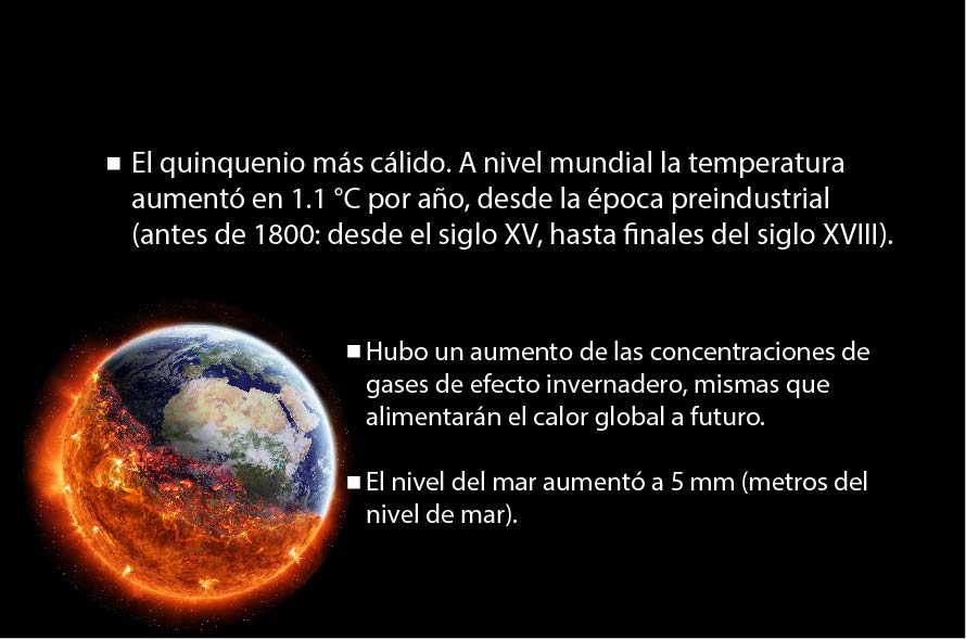 CCVIDA.02